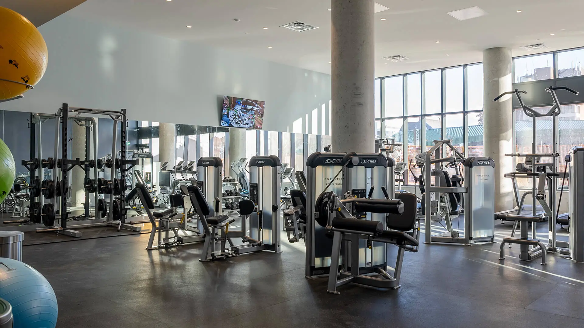 The Gym features all the gear you need to build and maintain the body you want.